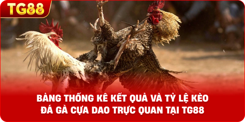Bảng thống kê kết quả và tỷ lệ kèo Đá Gà Cựa Dao trực quan tại TG88