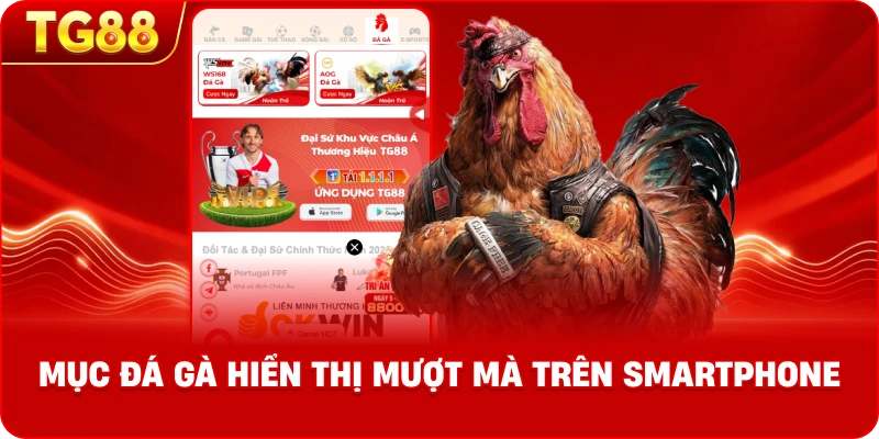 Ảnh chụp màn hình ứng dụng TG88 với mục Đá Gà hiển thị mượt mà trên smartphone